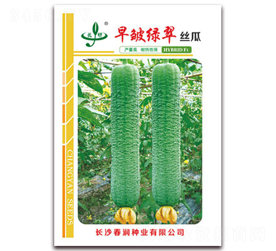 �簙�G��-�z�ϷN��-����(r��n)�N�I(y��)