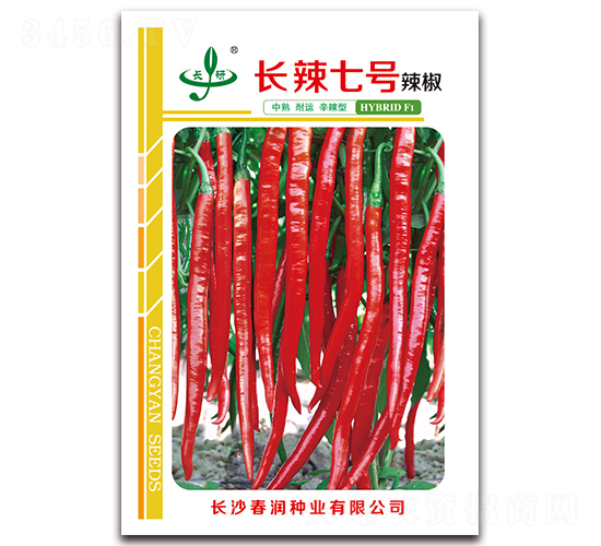 �L��7̖-�����N��-�����N�I(y��)