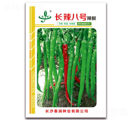 �L����̖-�����N��-�����N�I(y��)