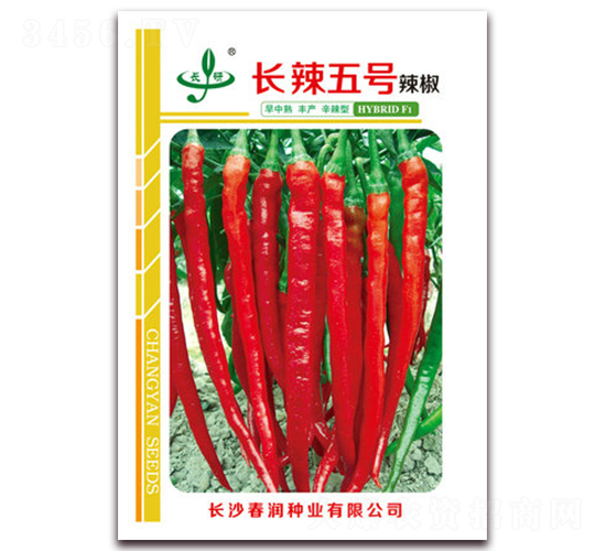 �L(zh��ng)����̖(h��o)-�����N��-����(r��n)�N�I(y��)