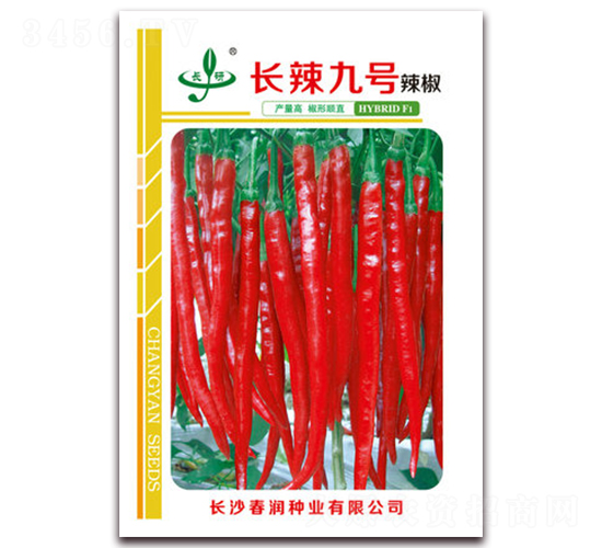 �L����̖-�����N��-�����N�I(y��)