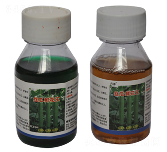 �z���r�����M��-�r(n��ng)����(l��)