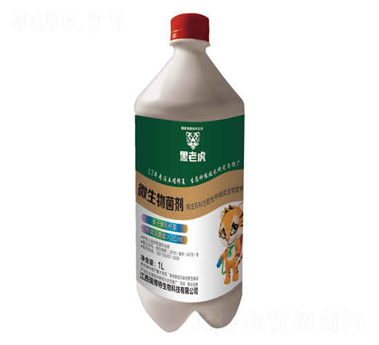 �FƤʯ��΢�������-����