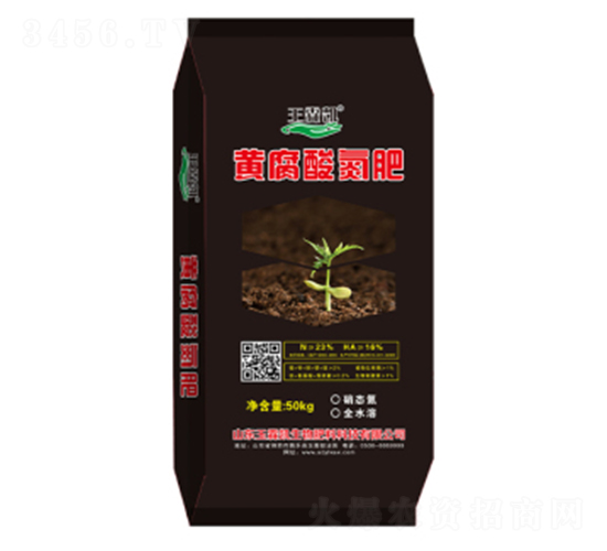 �S���ᵪ��-���؄P