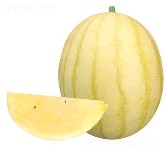 �����S-���ϷN��-����(y��u)�r(n��ng)�I(y��)