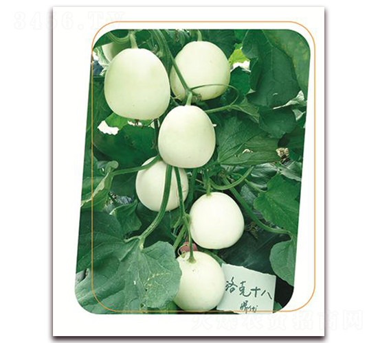 ���18-��ϷN��-����(y��u)�r(n��ng)�I(y��)