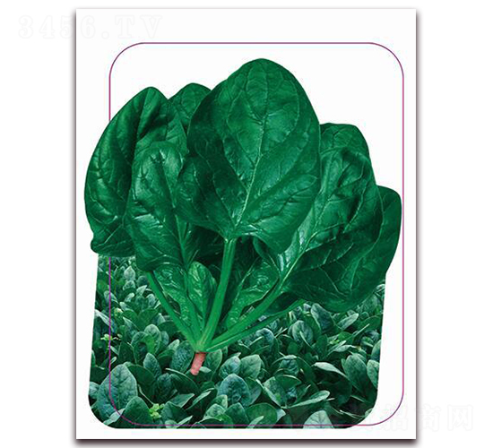 �Ą�-���˷N��-����(y��u)�r(n��ng)�I(y��)