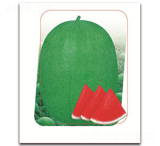 ����-���ϷN��-����(y��u)�r(n��ng)�I(y��)