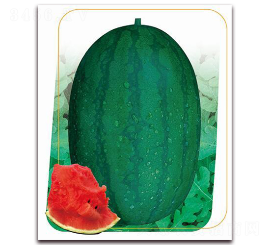 ����(y��u)880-���ϷN��-����(y��u)�r(n��ng)�I(y��)