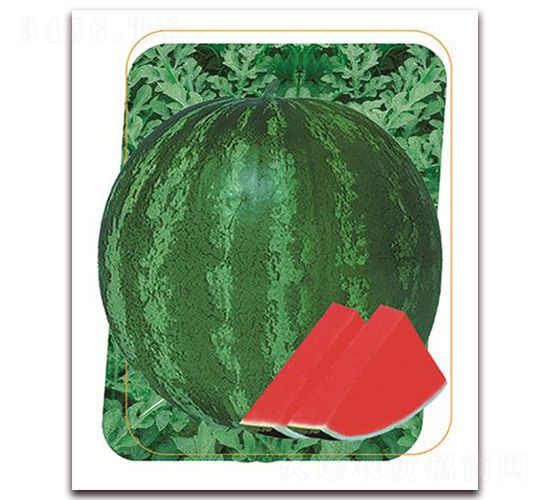 ��(l��)��-���ϷN��-����(y��u)�r(n��ng)�I(y��)