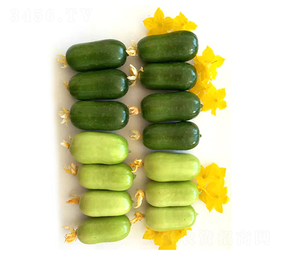 ��ͯ��Ů-�S�ϷN��-���N�I(y��)