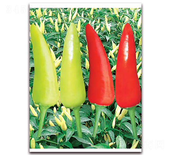 ����С��-���콷�N��-(li��n)�S�N�I(y��)