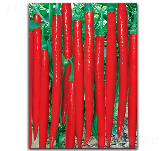 �OƷ���S��̖(h��o)-�����N��-(li��n)�S�N�I(y��)