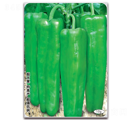 ��һ�����601-�ݽ��N��-(li��n)�S�N�I(y��)