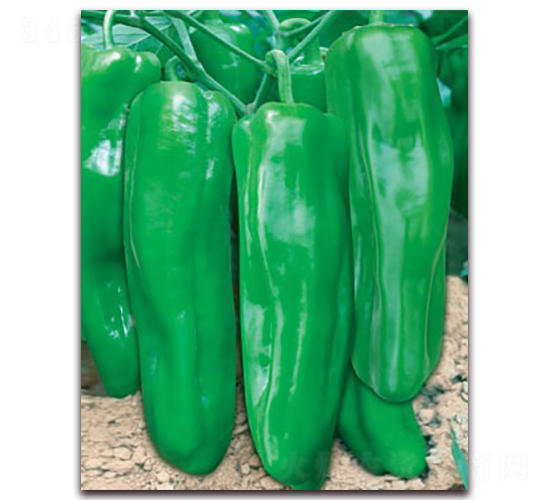 ��һ��908A-�ݽ��N��-(li��n)�S�N�I(y��)