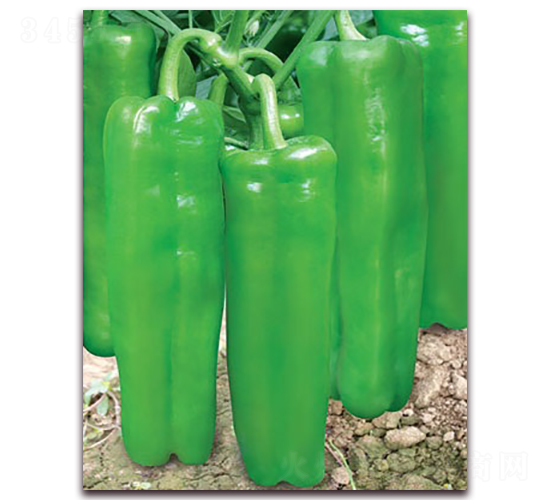 �۰�����-�ݽ��N��-(li��n)�S�N�I(y��)