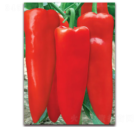 �t��(y��u)2012-�ݽ��N��-(li��n)�S�N�I(y��)