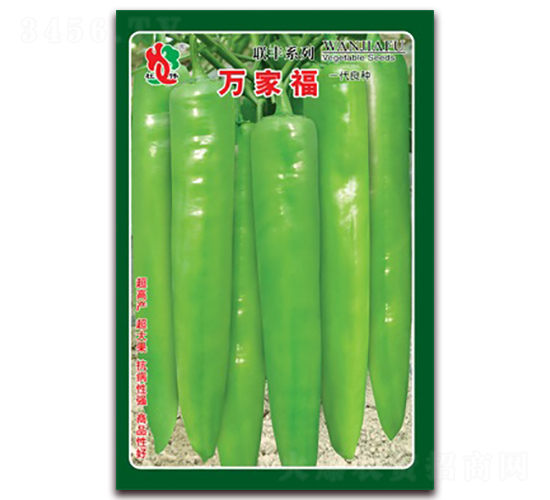 �f�Ҹ�-�⽷�N��-(li��n)�S�N�I(y��)