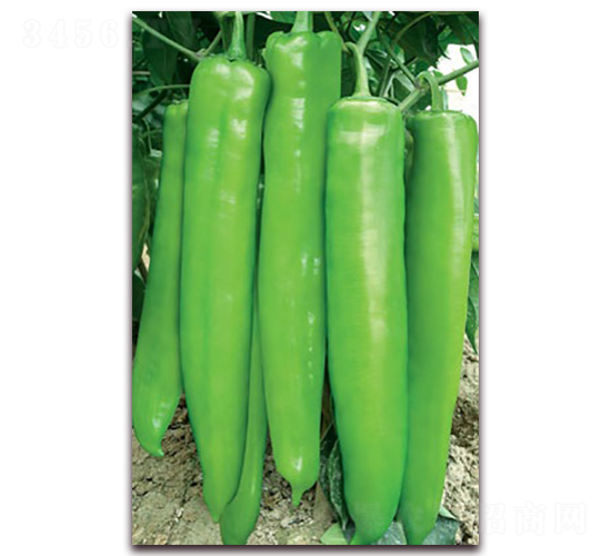 ���M���A-�⽷�N��-(li��n)�S�N�I(y��)