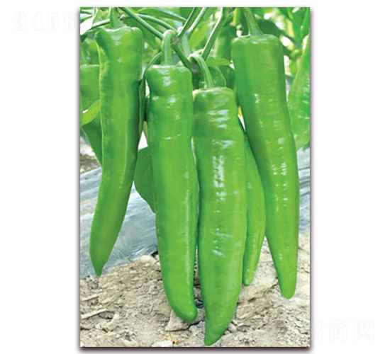 �\������-�⽷�N��-(li��n)�S�N�I(y��)