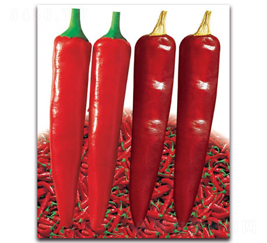 �������-�⽷�N��-(li��n)�S�N�I(y��)