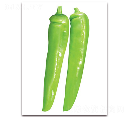 ���\(y��n)����-�⽷�N��-(li��n)�S�N�I(y��)