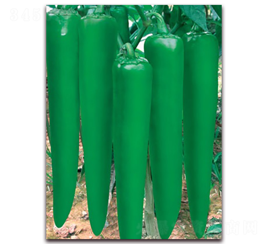 �����Ԫ-�⽷�N��-(li��n)�S�N�I(y��)