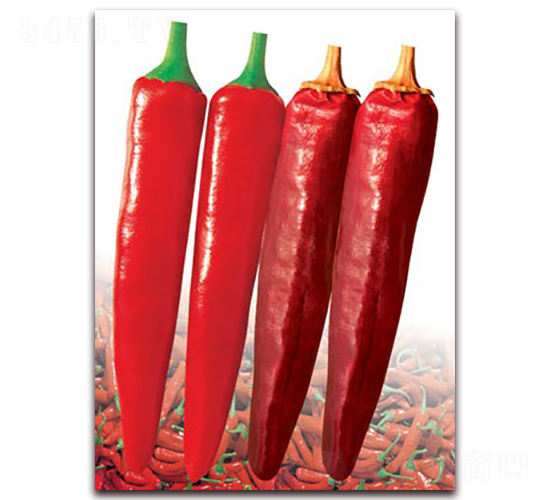 ���޼t��-�⽷�N��-(li��n)�S�N�I(y��)