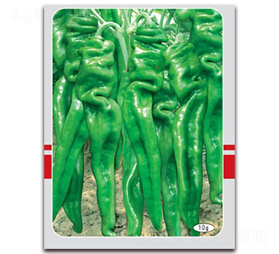 �ݽz����-�ݽz���N��-(li��n)�S�N�I(y��)