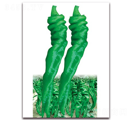 (li��n)�S����2313-�ݽz���N��-(li��n)�S�N�I(y��)