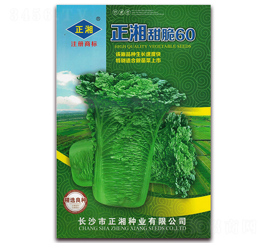 �������60-�ײ˷N��-����N�I(y��)