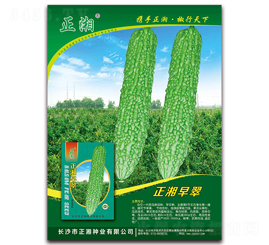 �������-��ϷN��-����N�I(y��)