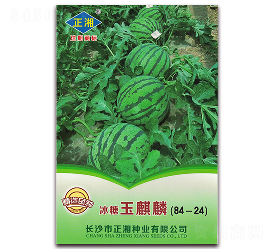 ����������-���ϷN��-����N�I(y��)