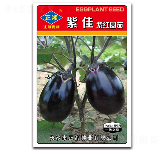 �ϼ��ψA�t��-���ӷN��-����N�I(y��)