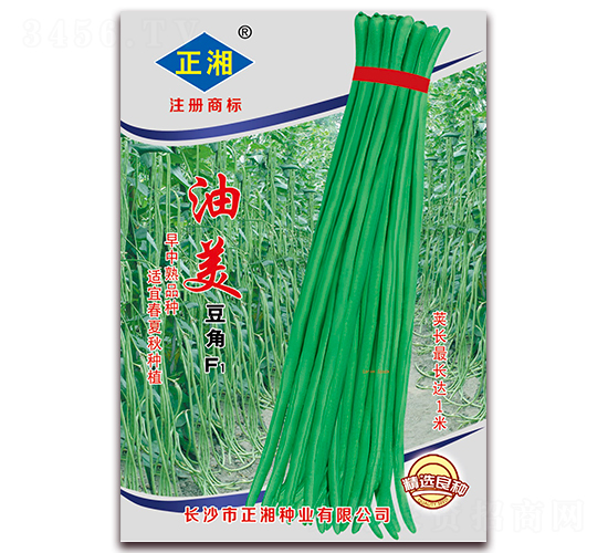 ��������F1-���ǷN��-����N�I(y��)