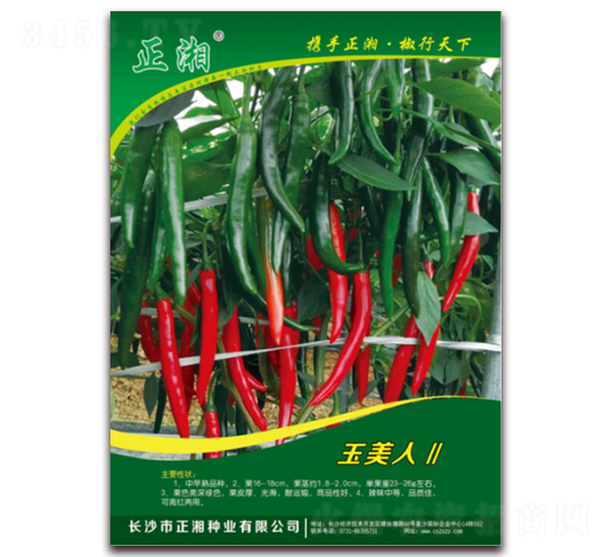 �����ˢ�-���˽��N��-����N�I(y��)