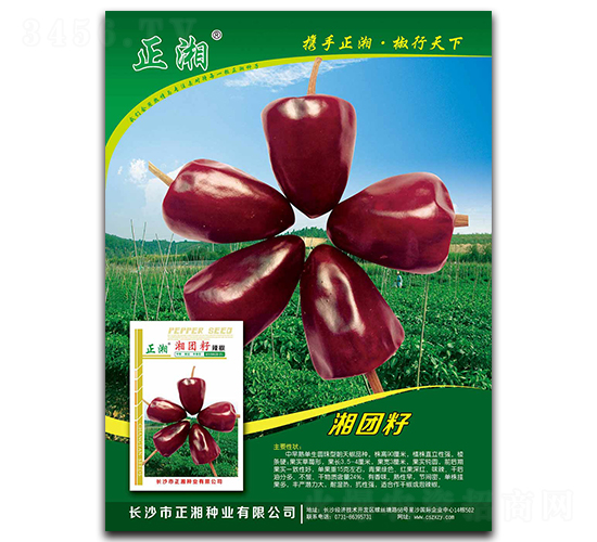 ���F(tu��n)��-���콷�N��-����N�I(y��)