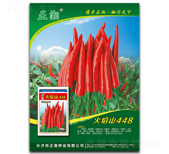 ����ɽ448-���콷�N��-����N�I(y��)