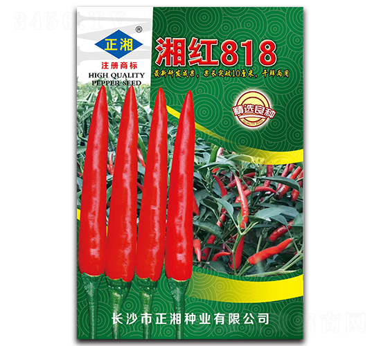 ��t818-���콷�N��-����N�I(y��)