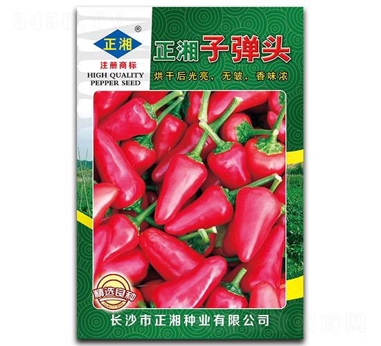 �����ӏ��^-���콷�N��-����N�I(y��)