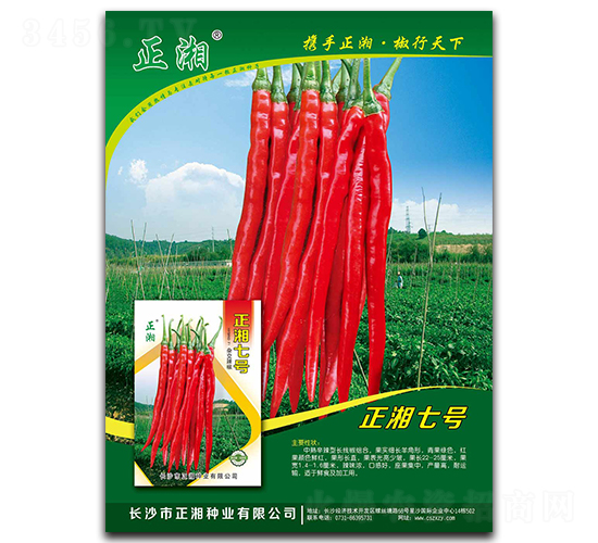 ����7̖-�����N��-����N�I(y��)