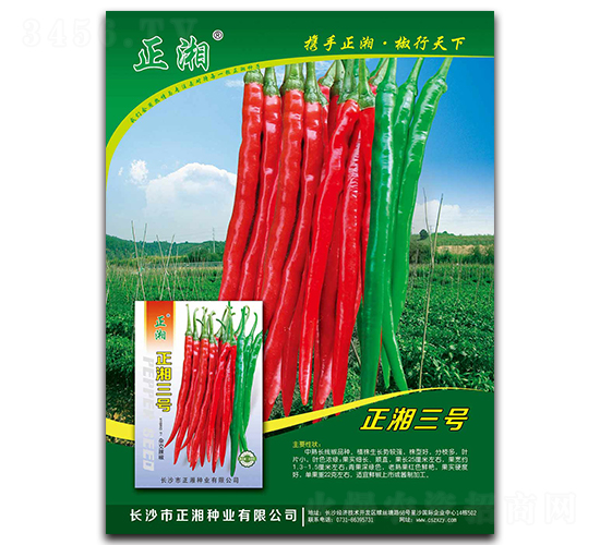 ������̖-�����N��-����N�I(y��)