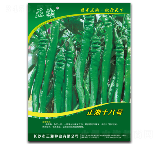 ����ʮ��̖-�����N��-����N�I(y��)