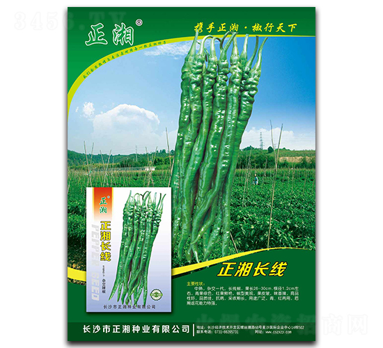 �����L��-�����N��-����N�I(y��)