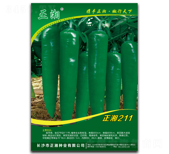 ����211-�����N��-����N�I(y��)