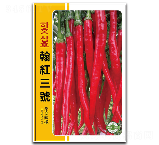 ���t��̖-�����N��-����N�I(y��)