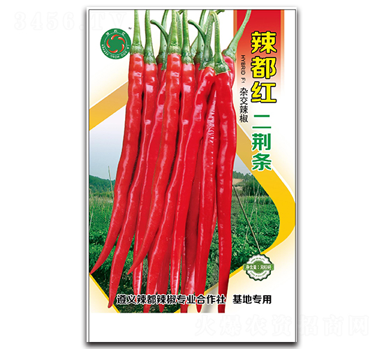 �����t���G�l-�����N��-����N�I(y��)