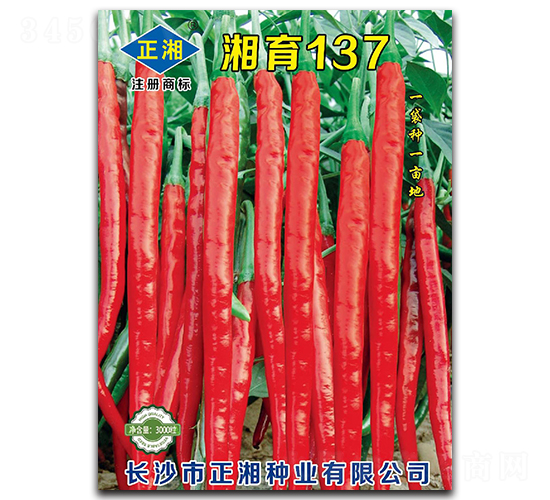 ����137-�����N��-����N�I(y��)