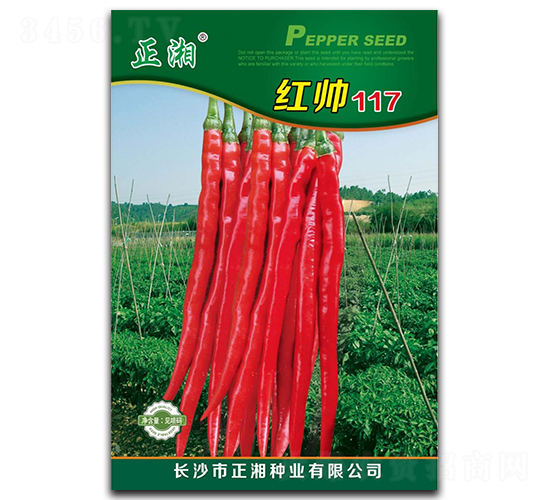 �t��117-�����N��-����N�I(y��)