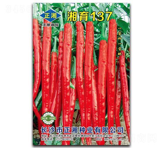 ��������137-�����N��-����N�I(y��)